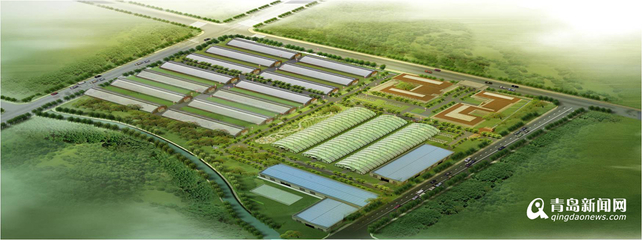 13個現(xiàn)代農(nóng)業(yè)項目落戶西海岸，總投資52億元